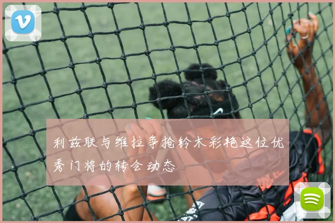 利兹联与维拉争抢铃木彩艳这位优秀门将的转会动态