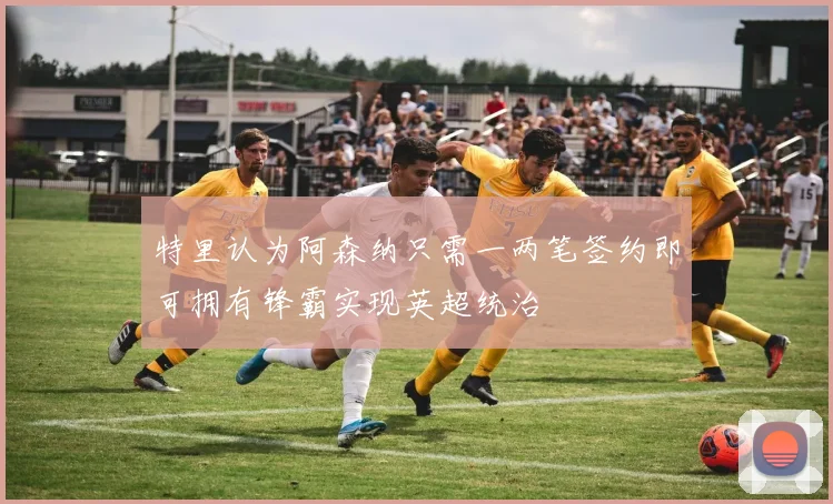特里认为阿森纳只需一两笔签约即可拥有锋霸实现英超统治