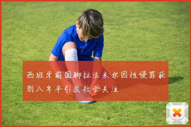 西班牙前国脚拉法米尔因性侵罪获刑八年半引发社会关注