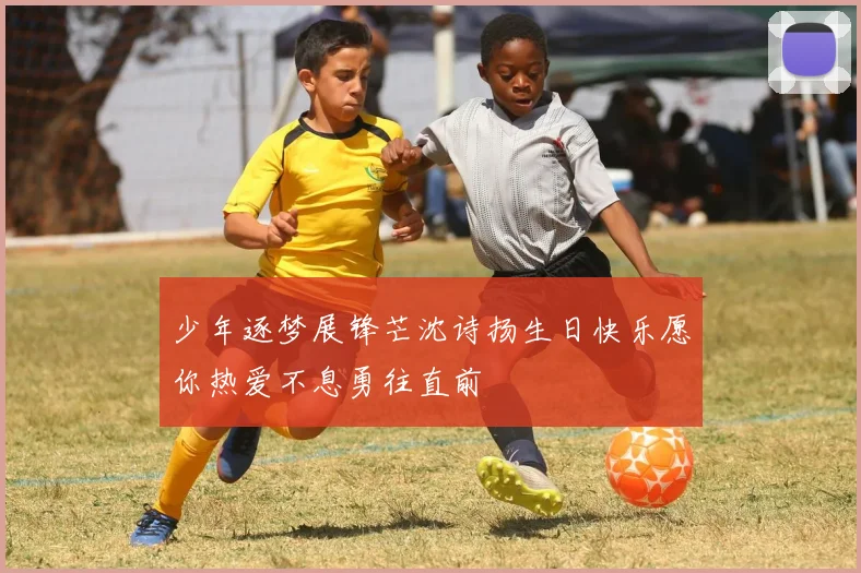 少年逐梦展锋芒沈诗扬生日快乐愿你热爱不息勇往直前