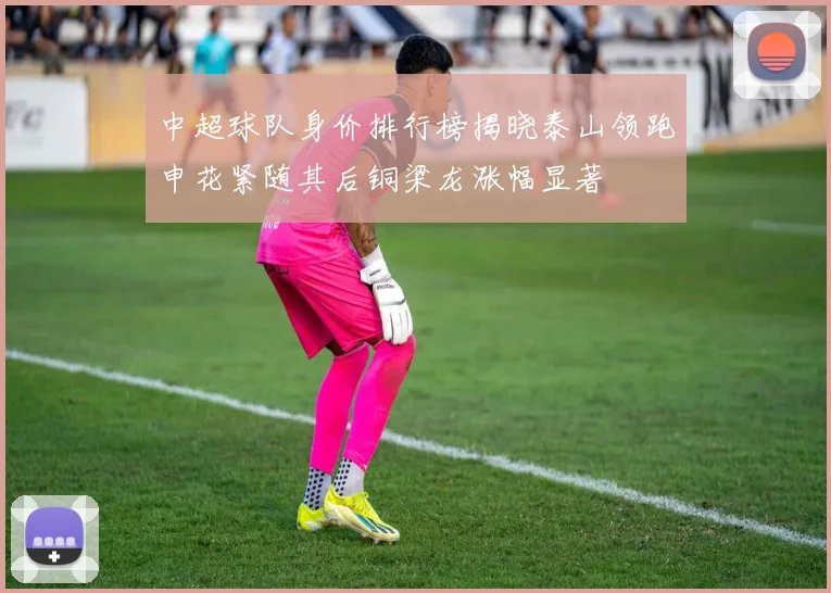 中超球队身价排行榜揭晓泰山领跑申花紧随其后铜梁龙涨幅显著